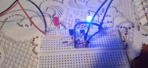 1704553520563.thumb.jpg.49c6927e18d9fb552425ec39e577b57d.jpg