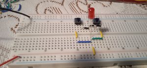 1706729056484.thumb.jpg.1338f84f2b870c309b4a66a076d7db75.jpg
