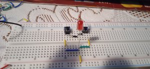 1706729056556.thumb.jpg.3d4768baf41828d652a76ccdebe3f0be.jpg