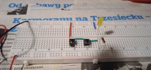 1706824829311.thumb.jpg.3ad0d38539b3812d7b89712966d3ae5a.jpg