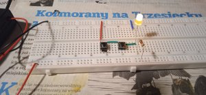 1706824829366.thumb.jpg.88dab9dfd850f73f558f6ae9695531fd.jpg