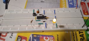 1706979446118.thumb.jpg.1063ef045e6cc3eee1fa2562d49b1e0a.jpg