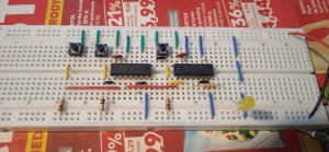 1707568510412.thumb.jpg.bb87eb09cdc3e791c45571ff16ede545.jpg