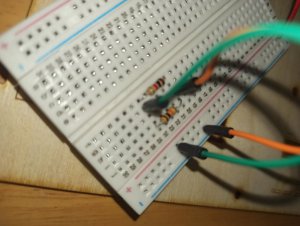 17084508272822010383233584059480.thumb.jpg.ce93be0c141ae5d8e98169fff03f273d.jpg
