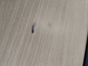 thumbnail_IMG_20240214_125422441.jpg