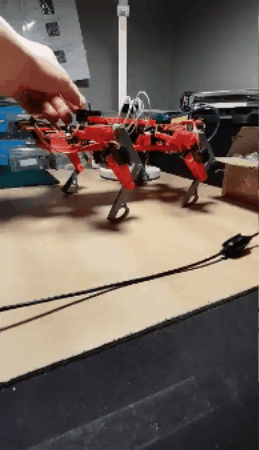 giphy (1).gif