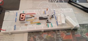 1713117229026.thumb.jpg.f703665fd1cd7be59507921ae694b24a.jpg