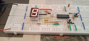 1713117229103.thumb.jpg.ba08a750bbccb87b03cb52dbcba744da.jpg