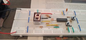 1713117229332.thumb.jpg.bc21edb44e5a04ddb210e903e3a9534b.jpg