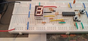 1713117229379.thumb.jpg.23ca49434e526a6f48f100b99df8aa0e.jpg