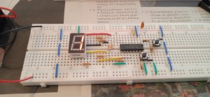 1713117229547.thumb.jpg.86e0d1c76815e8df49020e7c89f9eeef.jpg