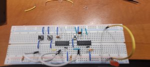 20240614_171524c.thumb.jpg.f324d077bf8fb180de86af901e74f21f.jpg