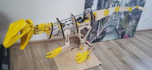 raptor_t1.jpg