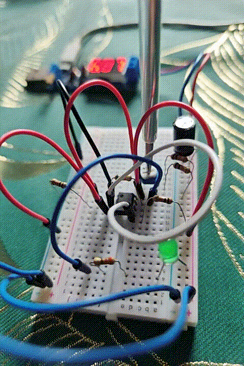 VID20240815152028 (1).gif