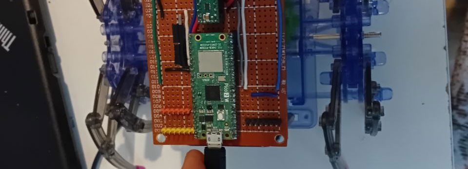 Spider-Bot - robot z Raspberry Pi Pico 2 W i Internetowym Sterowaniem!