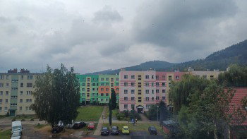 20250906_123723.jpg