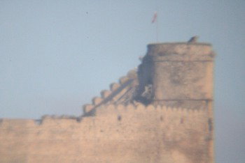 IMG_3154.JPG