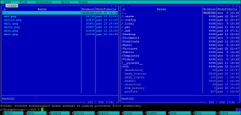 image.thumb.png.143ed61bedb403d80f005fb05681d31c.png