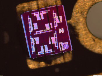 Image_227.thumb.jpg.2637dbf0ec0deb9d6d40f4b5e1a7e403.jpg