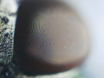 2026_0624_113657_101.thumb.JPG.92840fa3e95c6bd91f0f036dc5e2779c.JPG